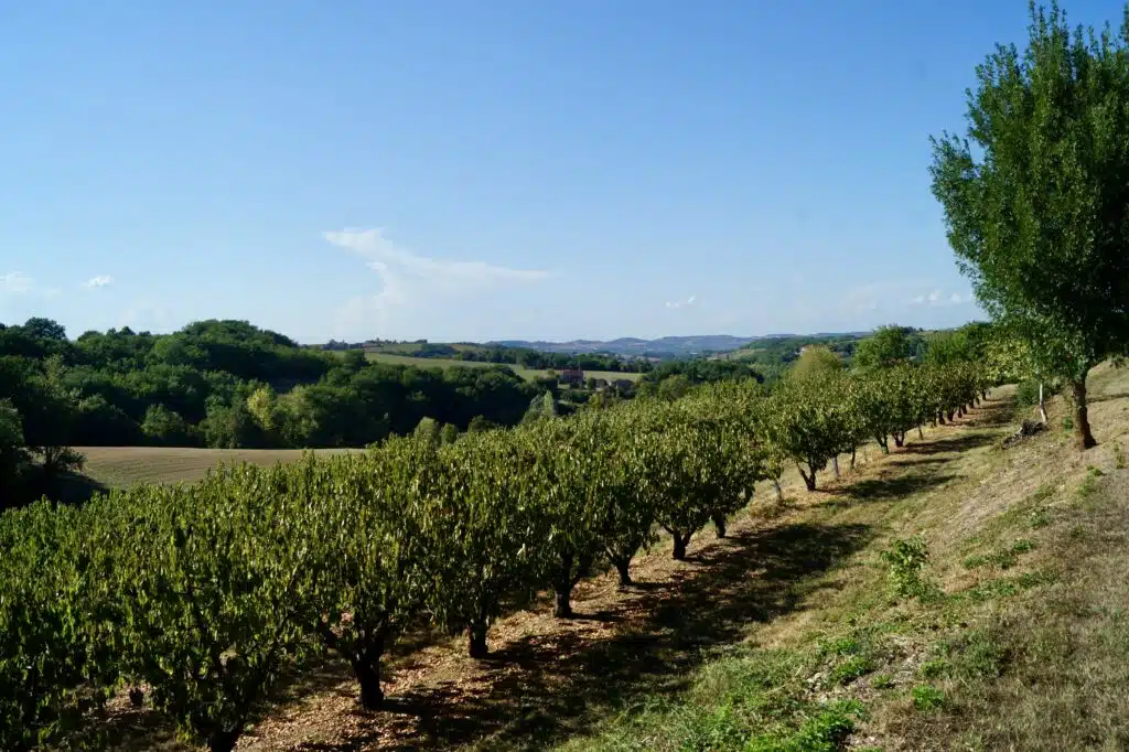 micro station lot-et-garonne