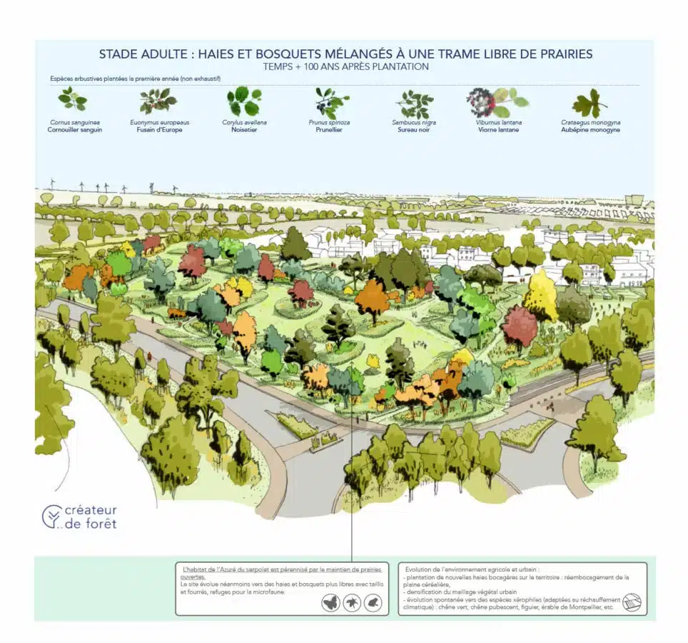 biodiversité assainissement individuel