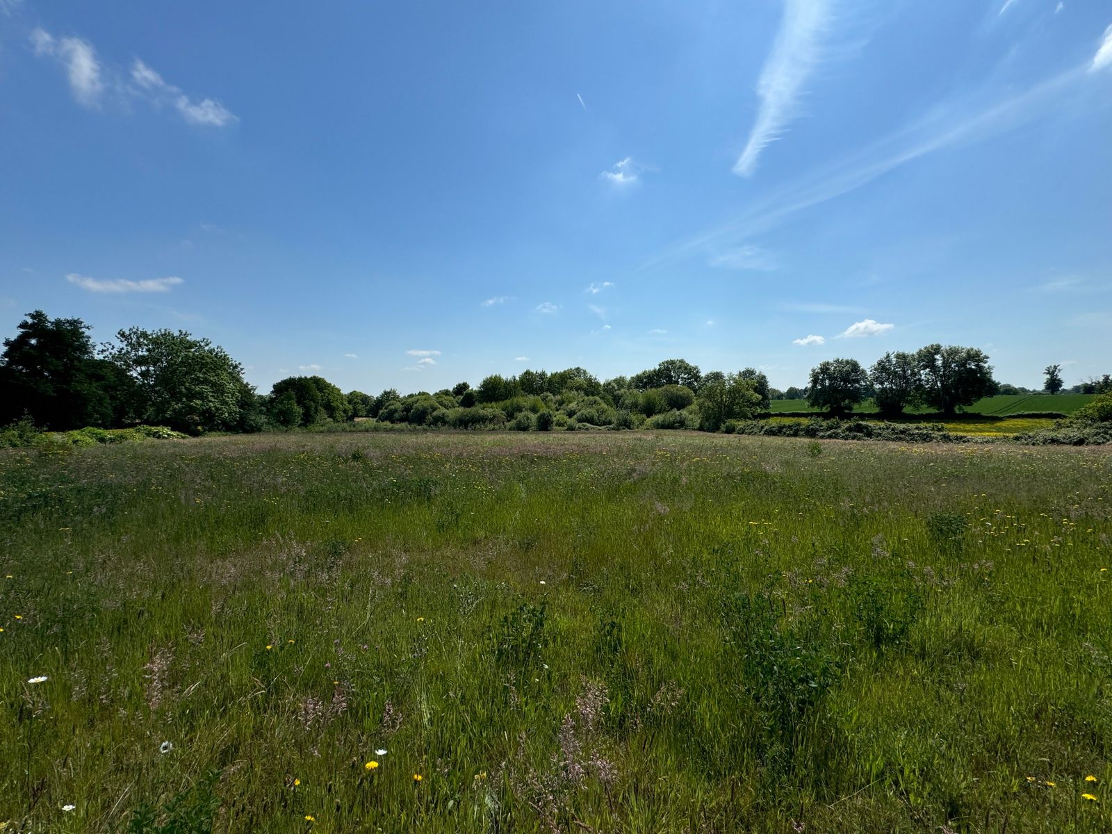 Prairie bocagère du terrain de Bressuire-Clazay