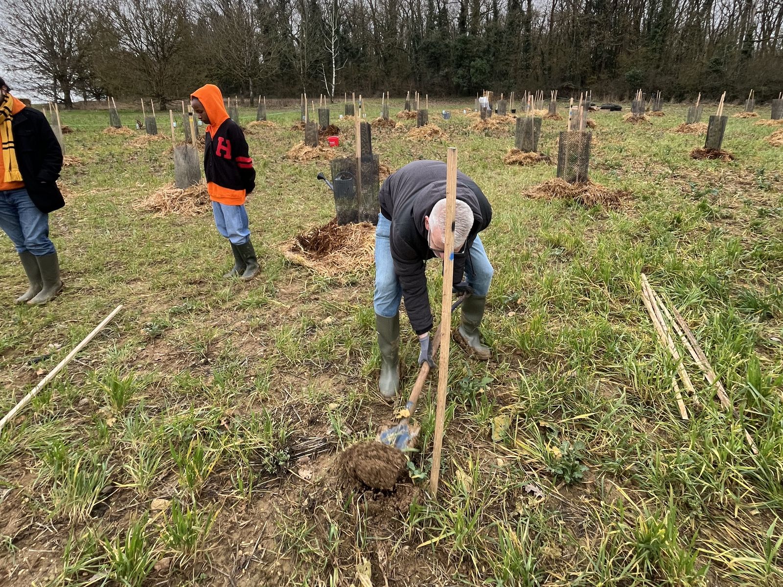 Planteurs installant de jeunes arbres à Neuville-de-Poitou