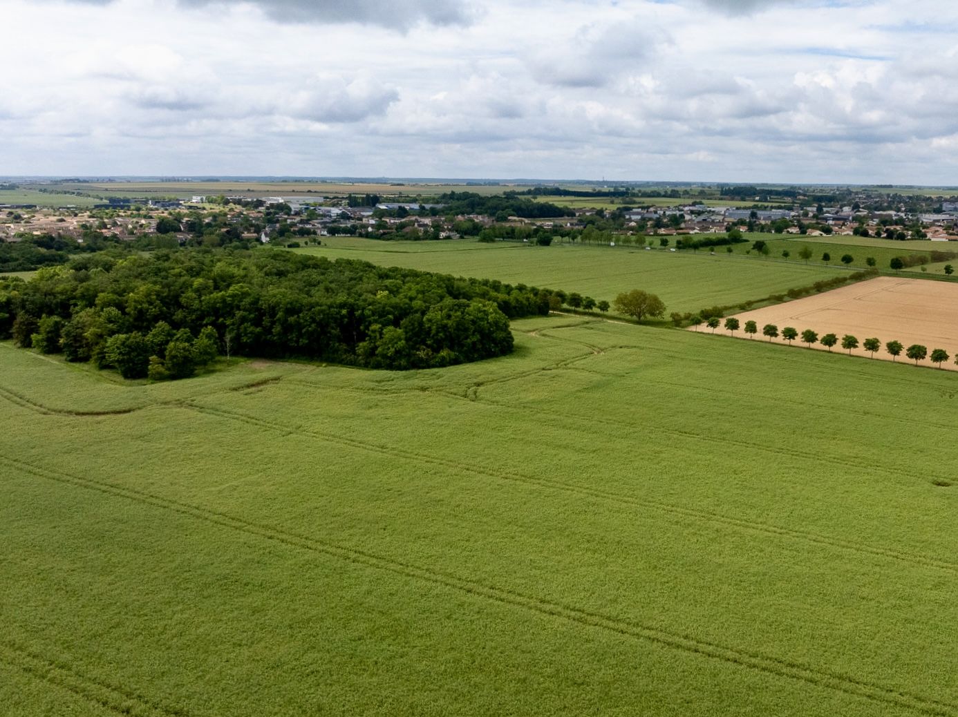 Vue aérienne de la parcelle agricole de Neuville-de-Poitou avant plantation