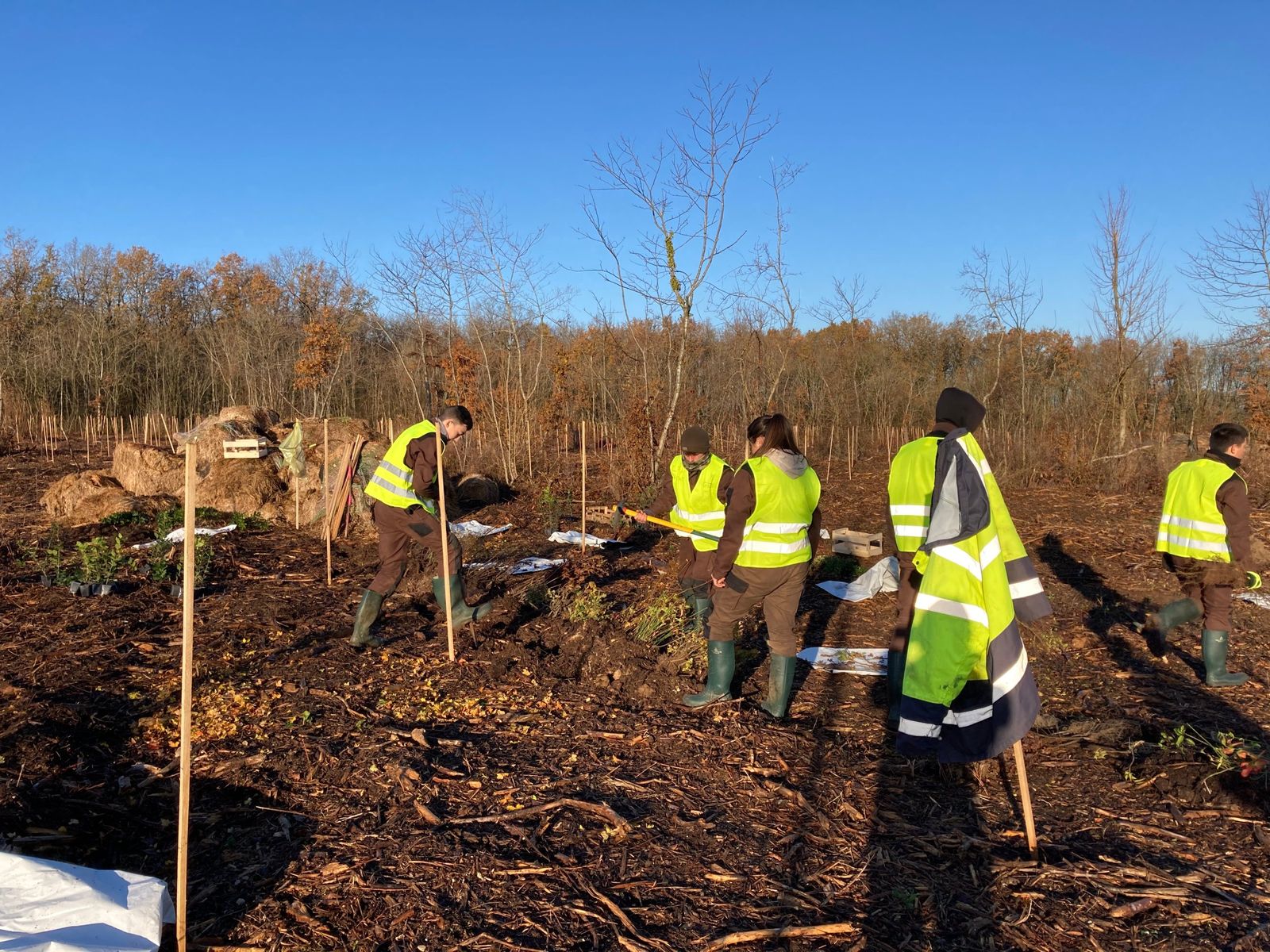 Élèves plantant de jeunes arbres à Plaine-d'Argenson