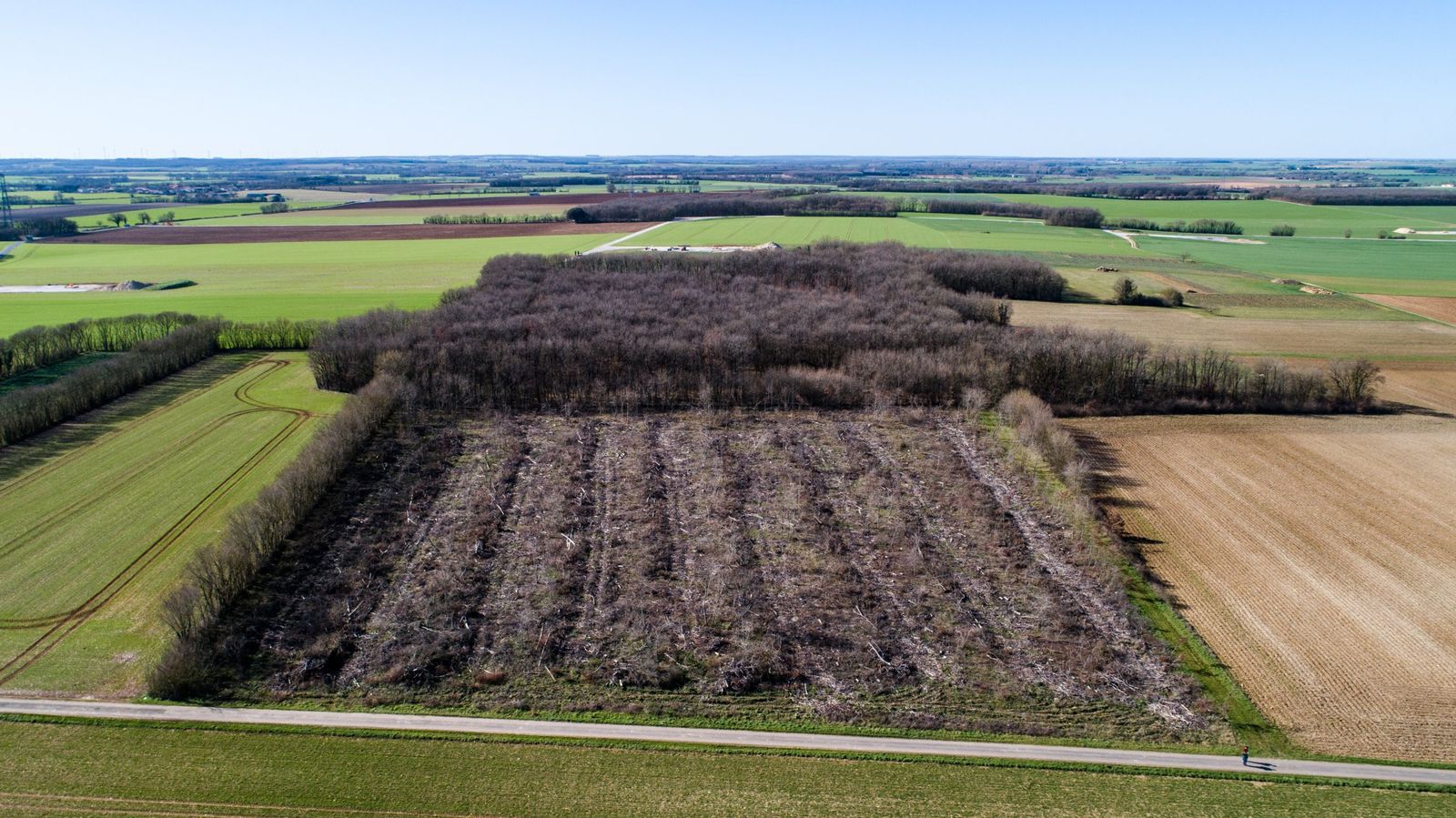 Vue aérienne de la parcelle de Plaine-d'Argenson avant plantation