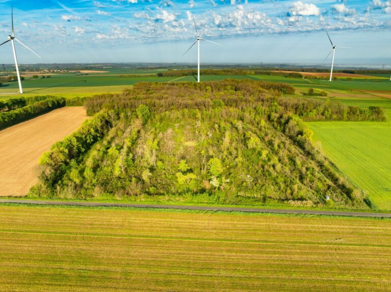 Îlot de biodiversité soutenu avec Créateur de forêt