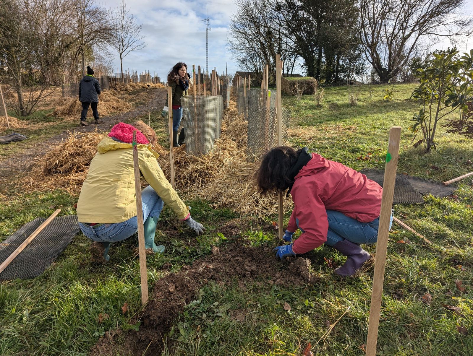 Bénévoles plantant une haie à Saint-Jean-d'Angély
