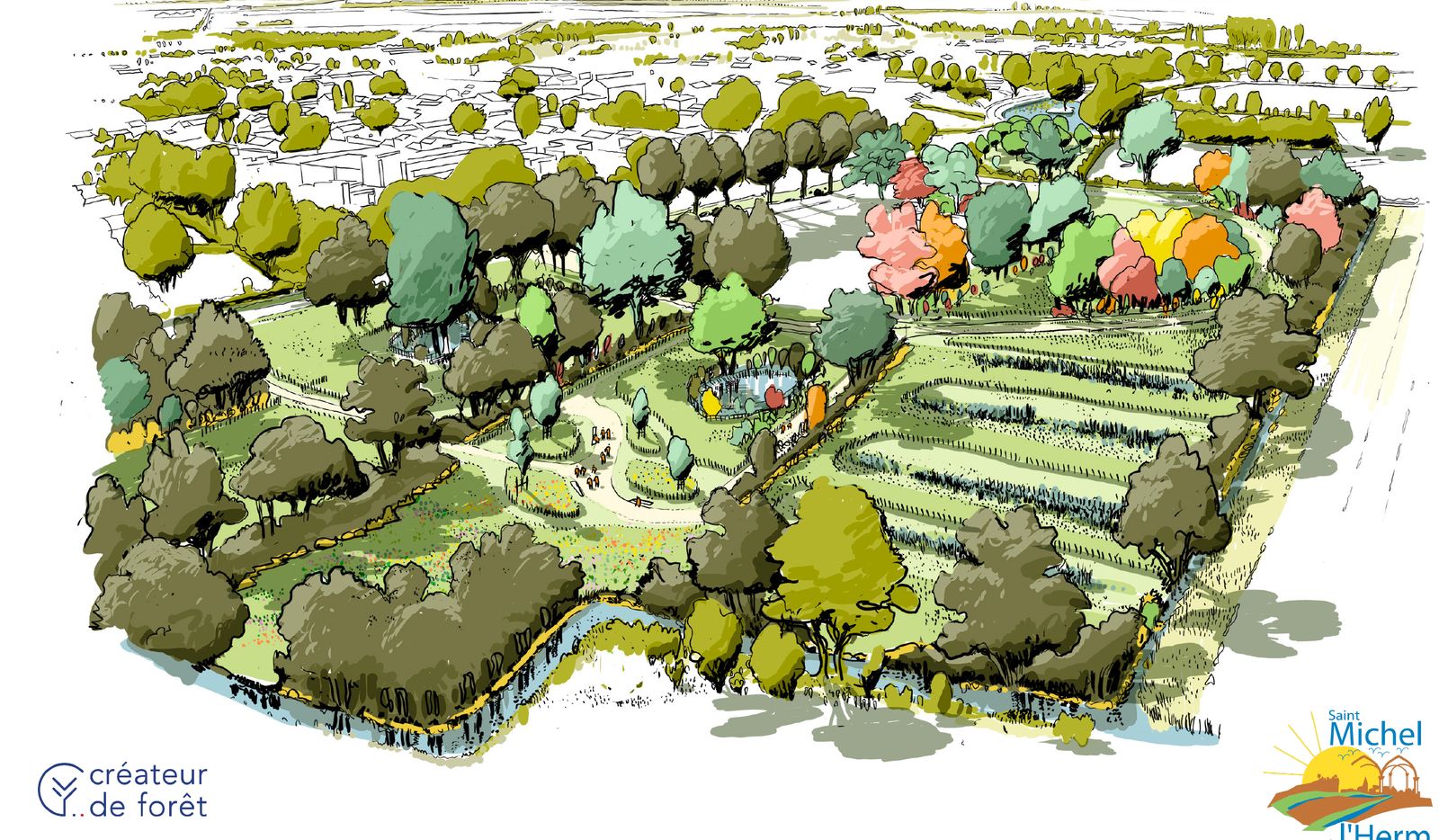 Illustration de l'îlot de biodiversité de Saint-Michel-en-l'Herm à maturité
